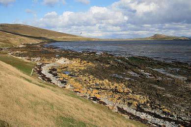Cow Point Beach, Sea Lion Island