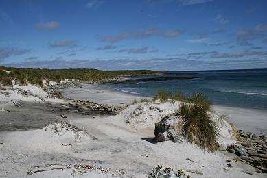 Cow Point Beach, Sea Lion Island