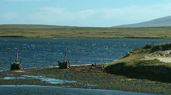 Pallets as fence strainers, Fox Bay